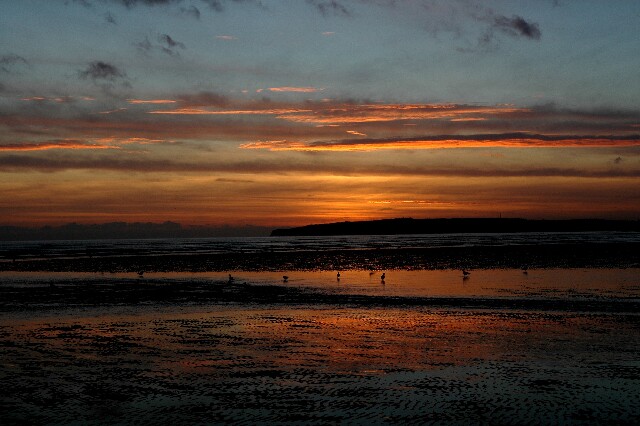 min 2007 11 25 camber plage 070